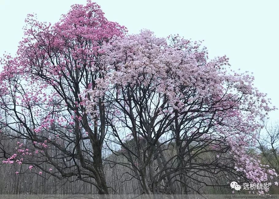 药王谷里觅旧迹（原图文）