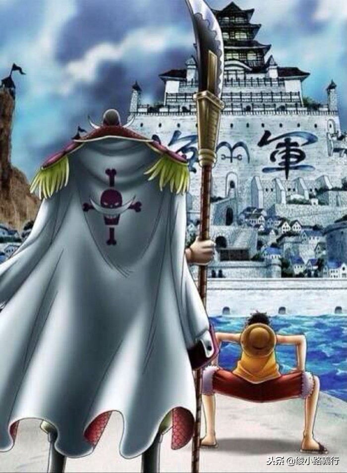 海贼王漫画叫什么名字,海贼王漫画名字跟动画的区别