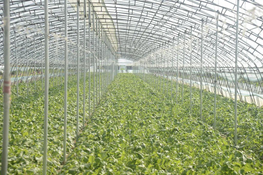 灏忕Н鍒嗗ぇ鑳介噺,灏忕Н鍒嗘縺娲诲ぇ鑳介噺