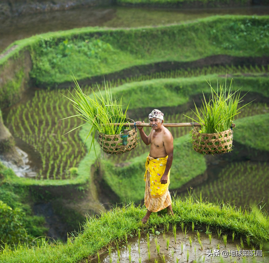 印尼在亚洲的实力排名,印尼有几亿人