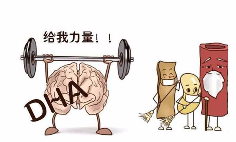 婴幼儿补dha的最佳时间,婴幼儿dha需要补多久