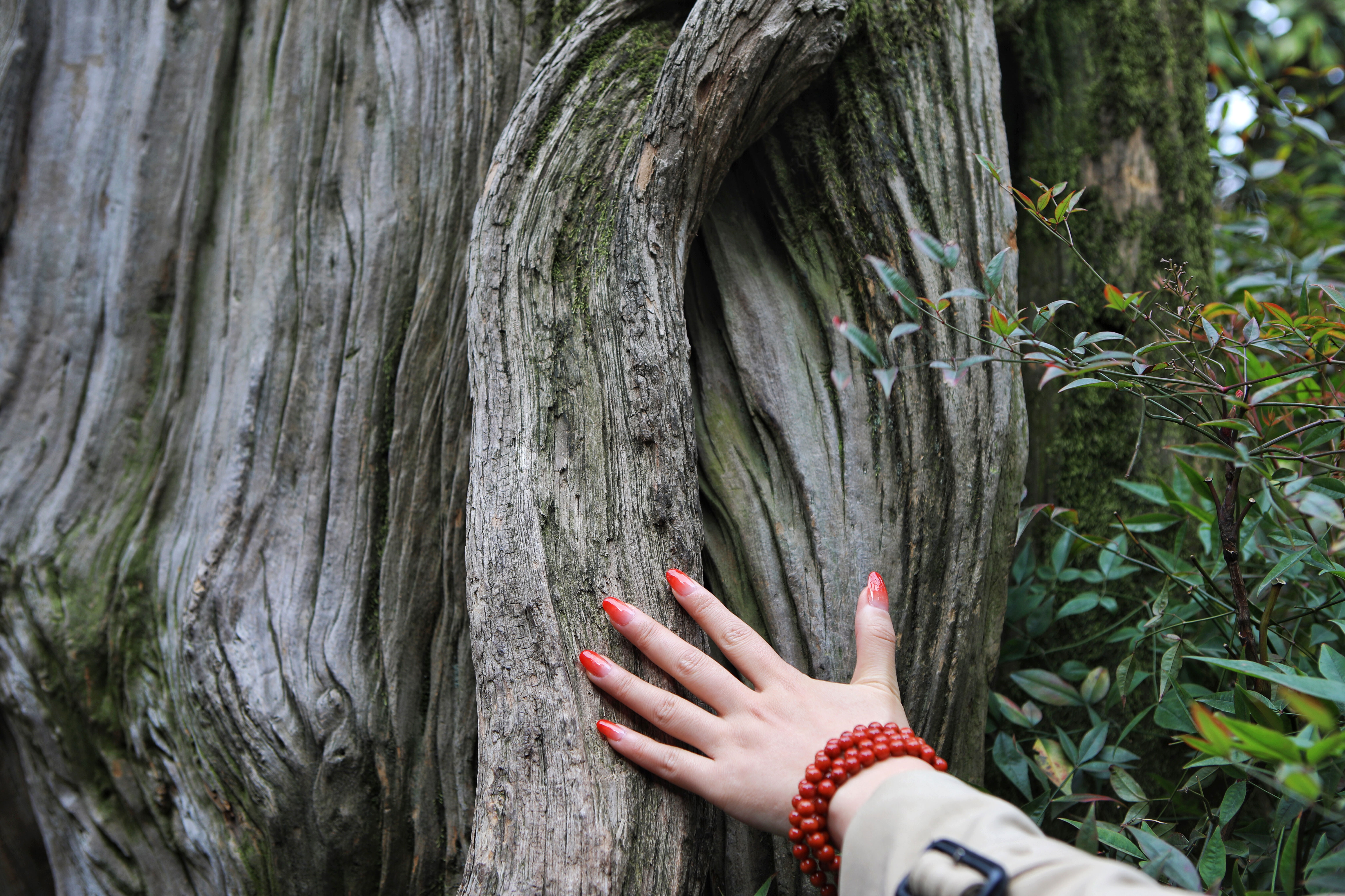 扬州值得品味的城市,扬州一个诗情画意的地方