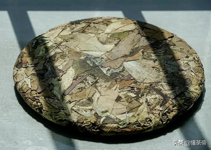 白茶为什么越老越好,白茶为啥时间久了会碎