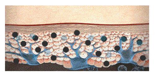 夏天祛斑如何保持脸部干爽,夏季祛斑的最好办法