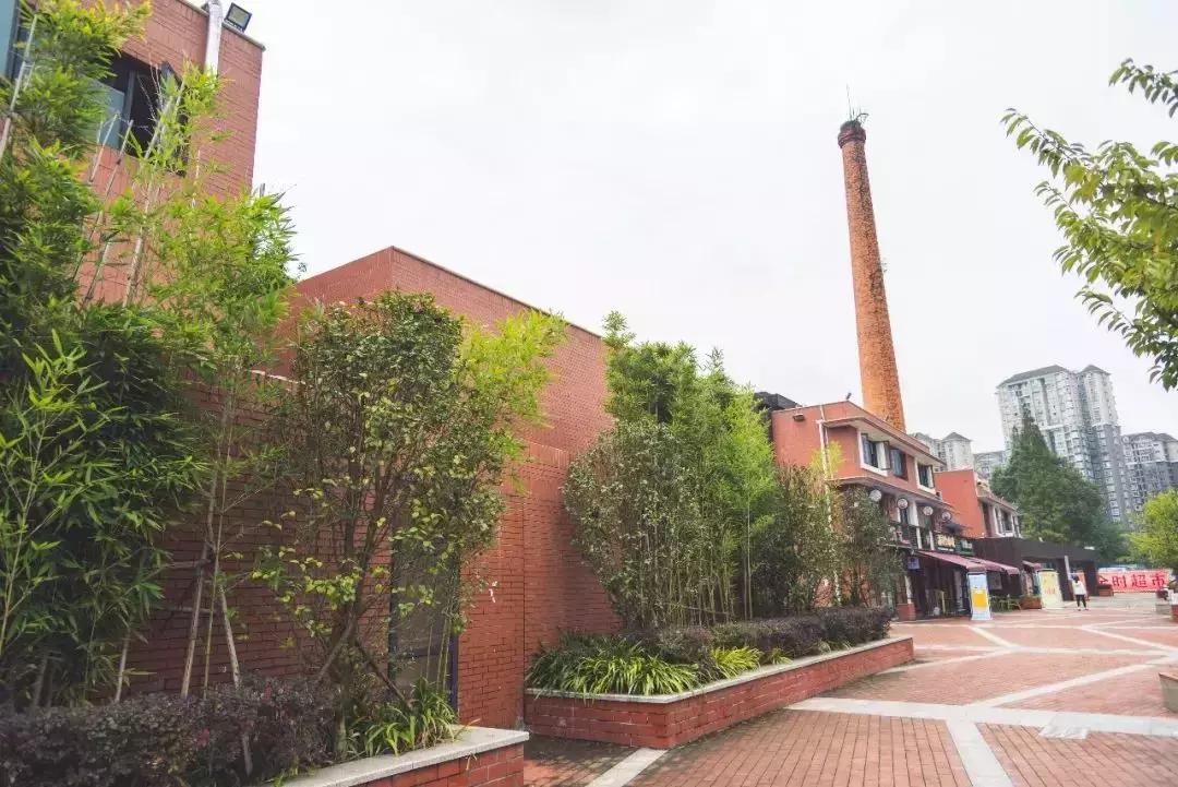 全国十大奇葩高校,奇葩高校盘点