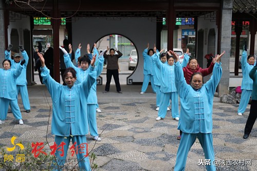 宝鸡东岭西部第一村,陕西宝鸡东岭村简介