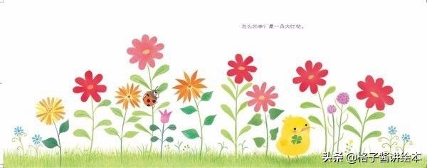 绘本推荐小鸡球,小鸡球球幼儿园绘本推荐卡