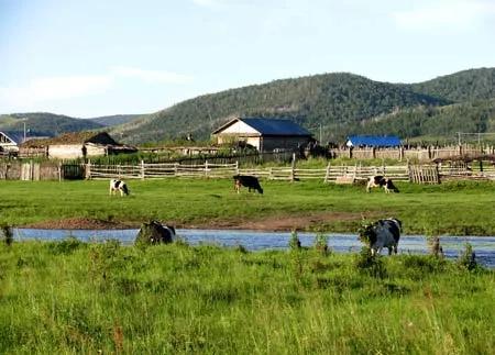 阿根廷绝美照片,阿根廷风情图