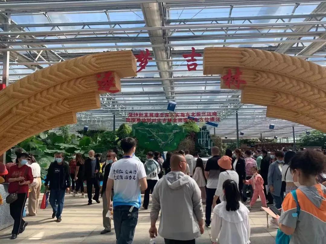 吉林车标志,吉林卫视标志