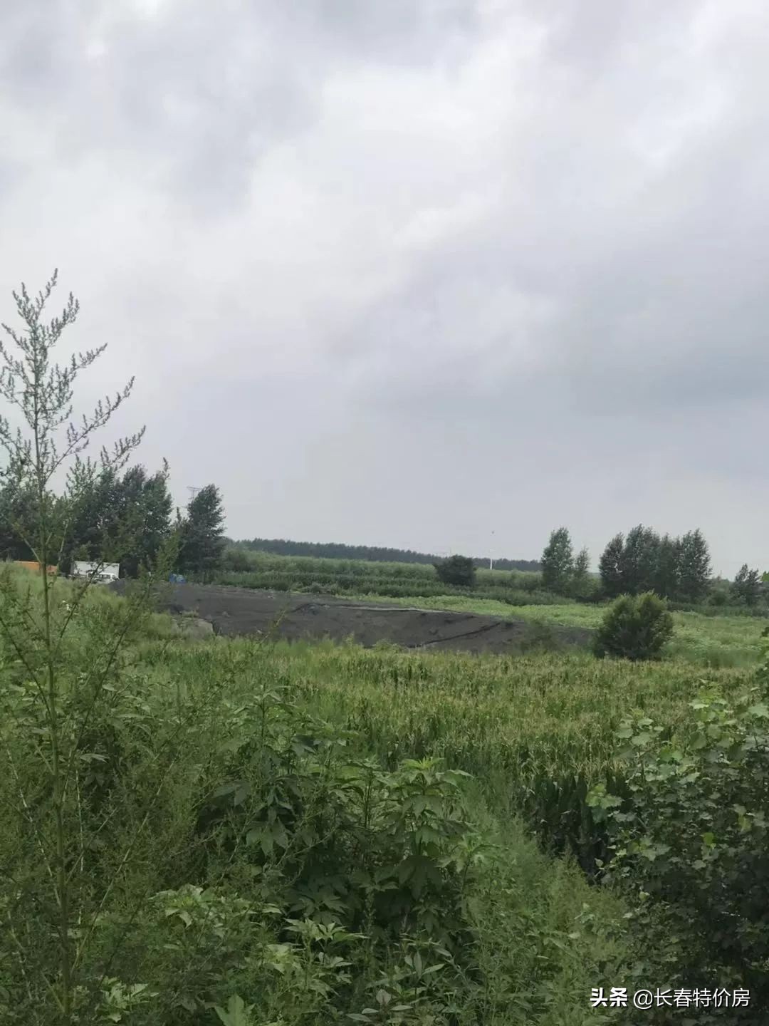 开发商都抢的地块,开发商抢地抬高了地价