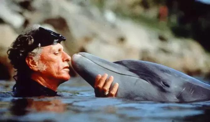 小飞象真实事件,小飞象的真实故事