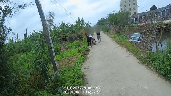 往前开，往鱼塘开！8年驾龄老司机的“翻车”过程