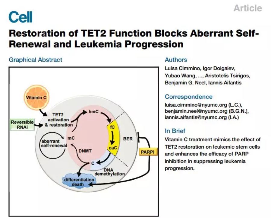 维生素c对当前肺炎有效吗,维生素c在新冠肺炎中的作用