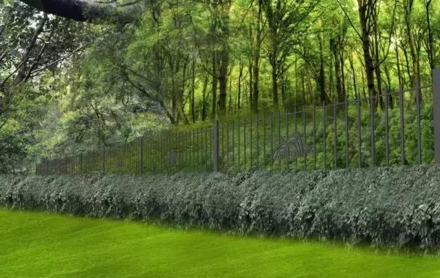 白云山新景,广州白云山开发理念及规划