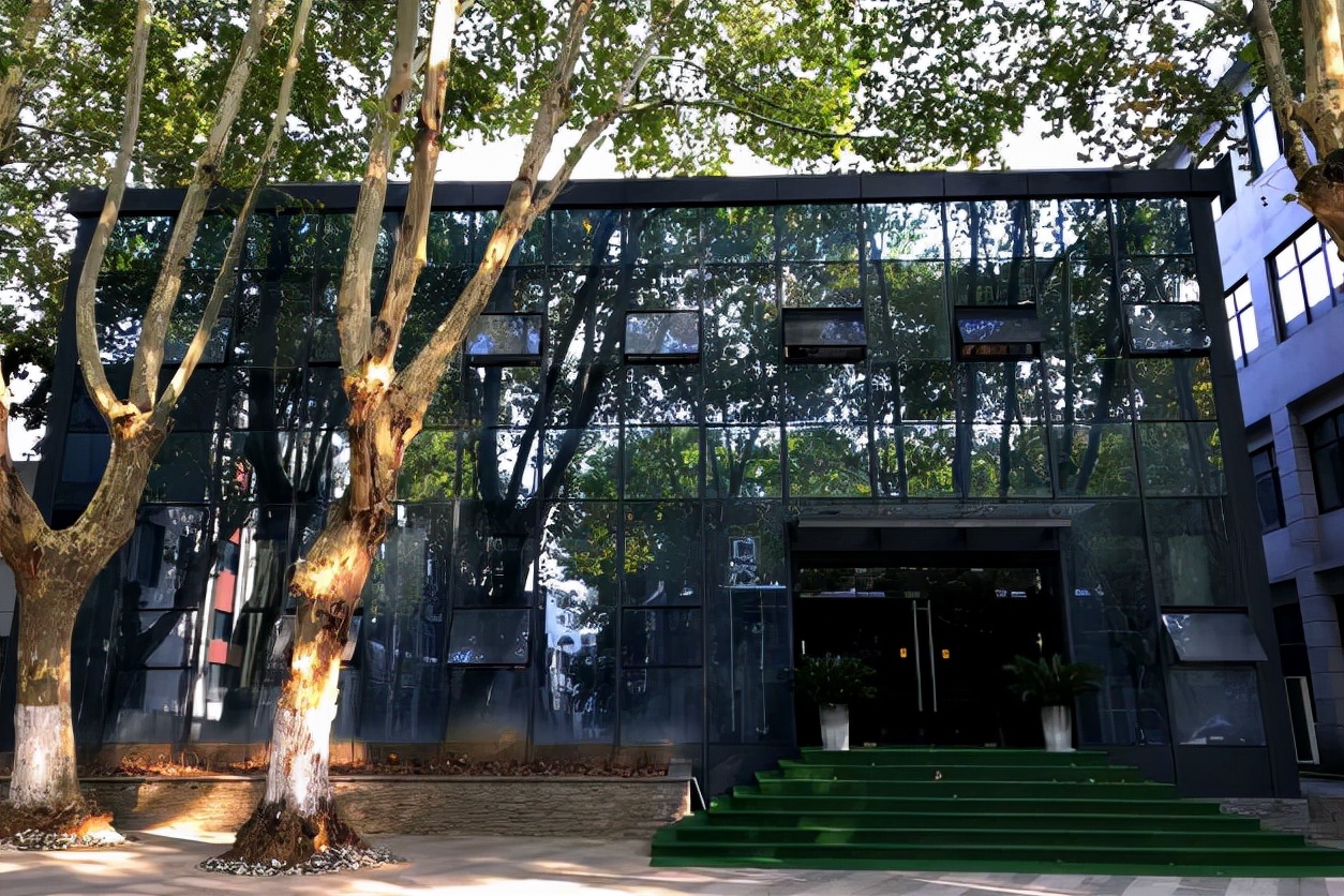 罗生门张子豪赚了多少钱,罗生门赚了多少