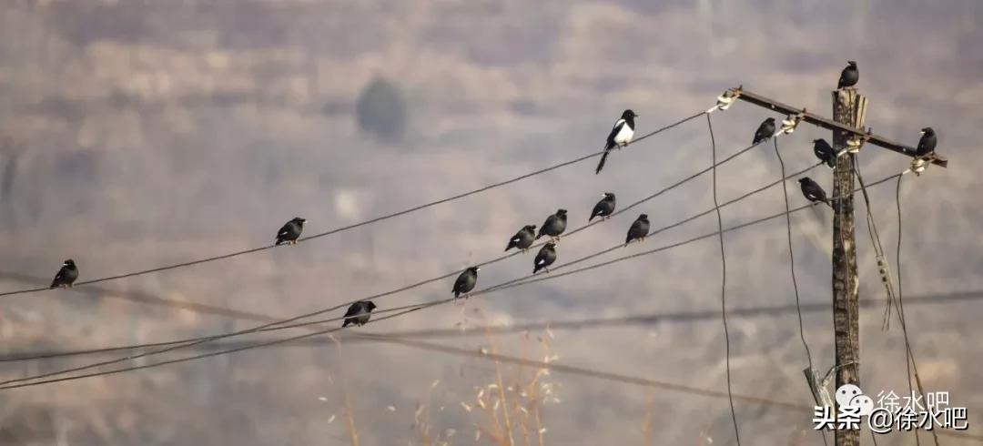 「徐水映像」换个角度看保定徐水,美