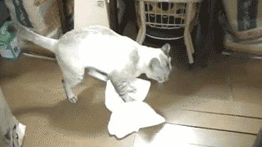 家用懒人免洗拖地拖把佳帮手,家用免洗平板拖把拖地神器