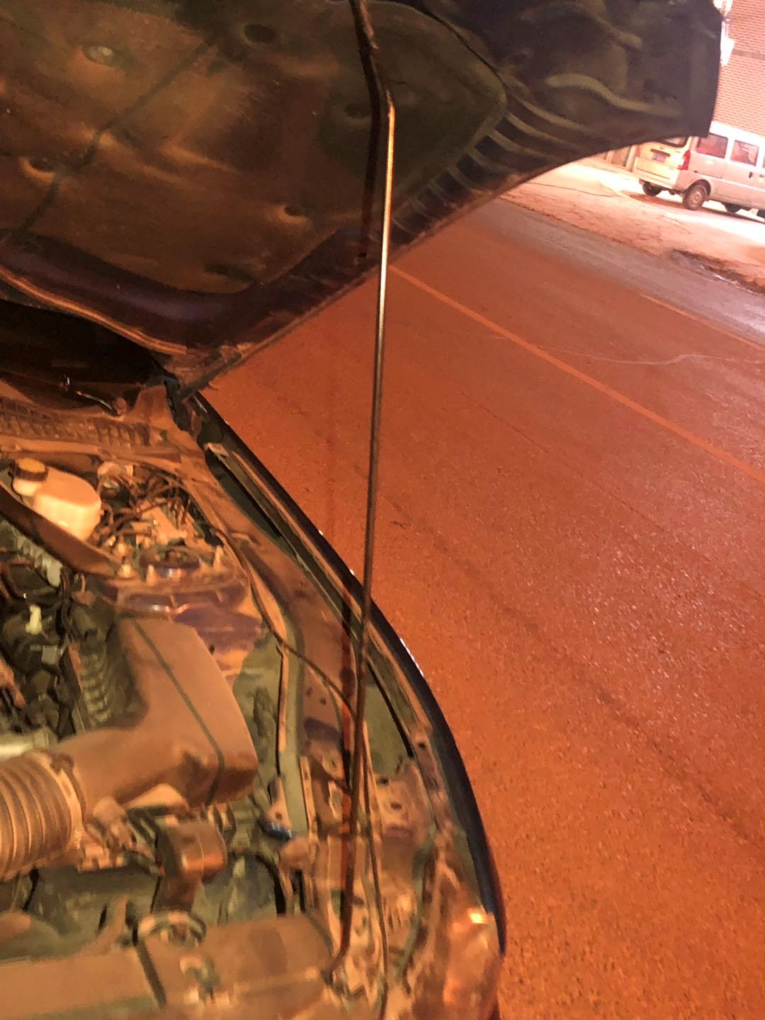 野马还是野驴,野马2.3t小野驴