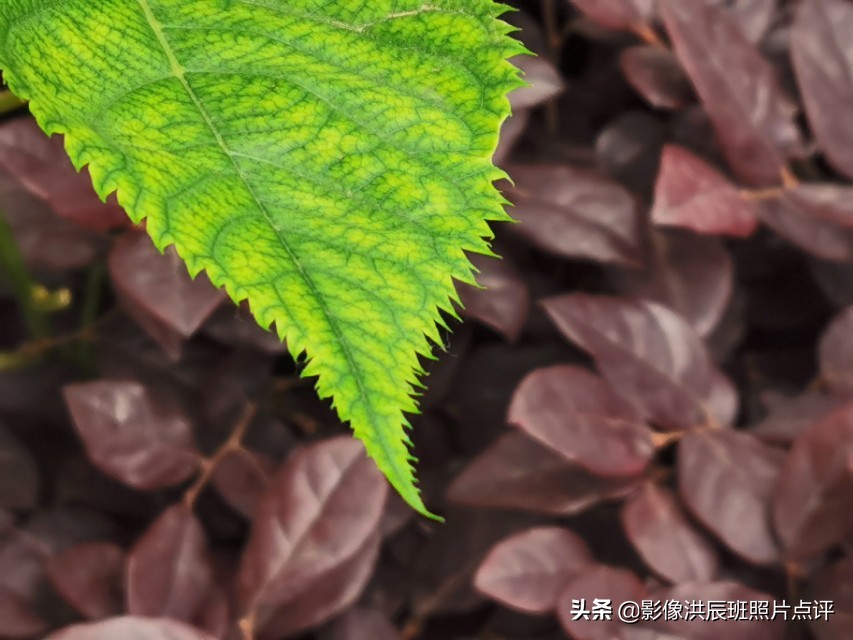 黑色背景怎么拍出质感产品,摄影黑色背景怎么拍得更黑