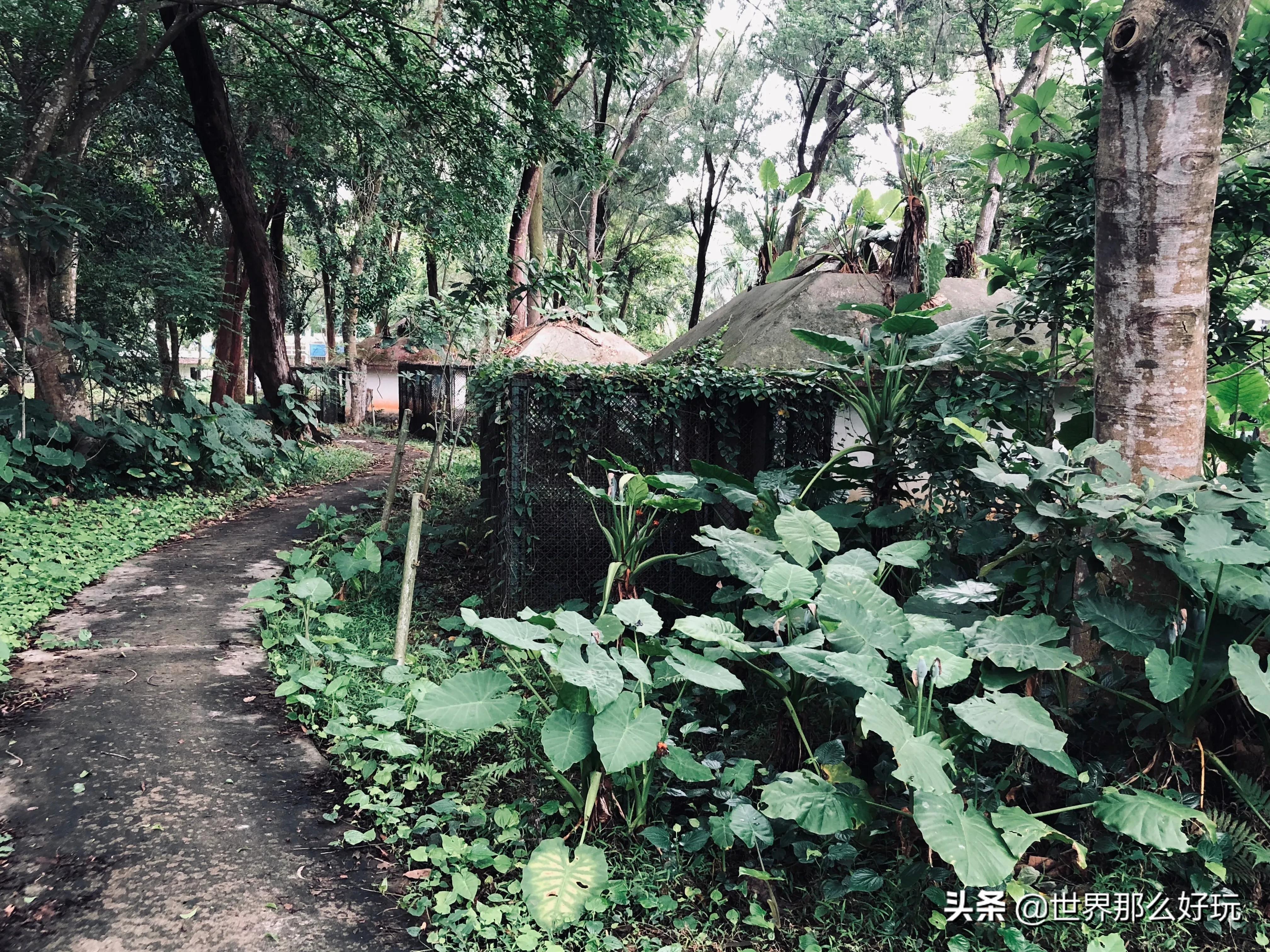 海南金牛岭动物园视频,海口金牛岭公园现在还有动物园吗