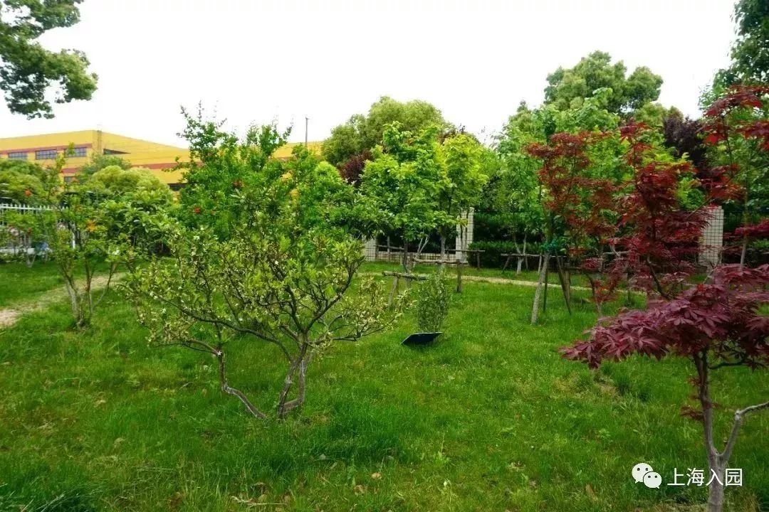 探园幼儿园环境,探园幼儿园招远