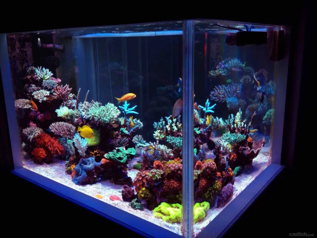 分享创富最佳方法,分享快速致富好项目