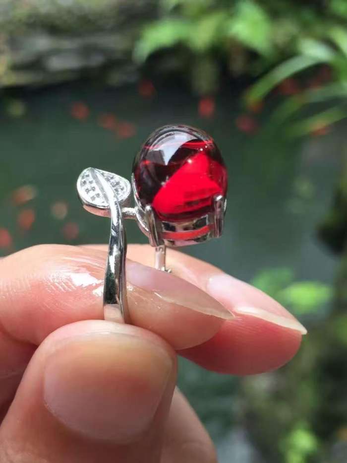 血珀的含义,血珀的形成过程