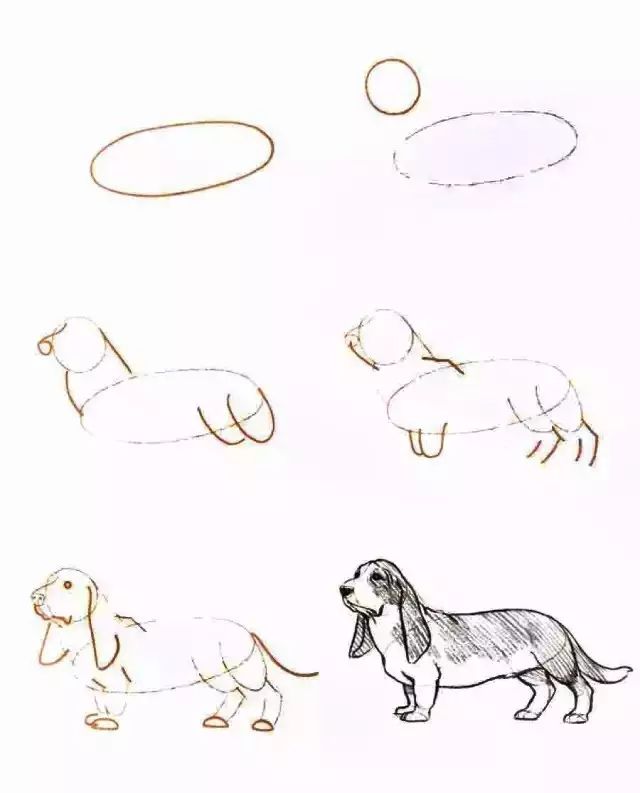 你想要的简笔画教程,一学就会的简笔画教程