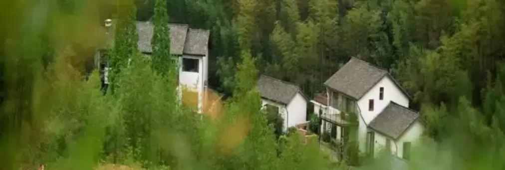 民宿抖音团购限量秒杀,萤火虫民宿价格表