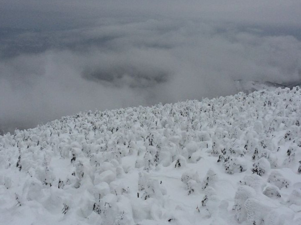 cnn评选出的日本最美的31个景点,cnn评选世界十大旅游地