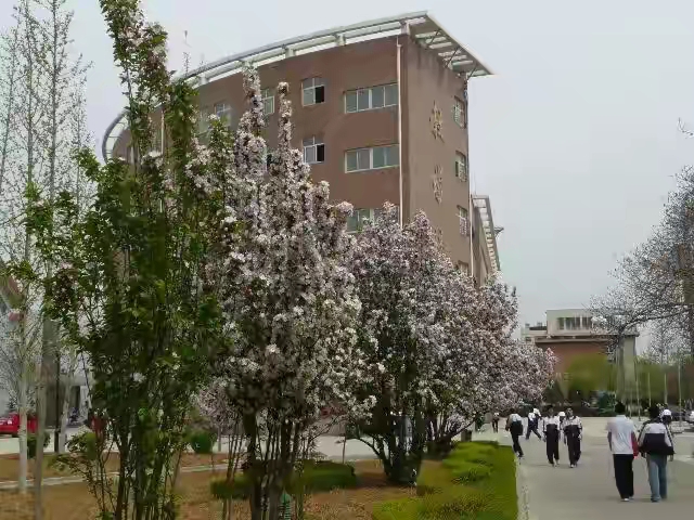 「追寻梦中的太阳6」郝博：十六度空间