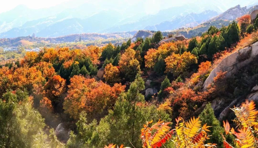 瓦房店真是个好地方,爱上大连这座城