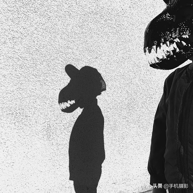 ippa摄影大赛年度总冠军,ippa摄影大赛2014