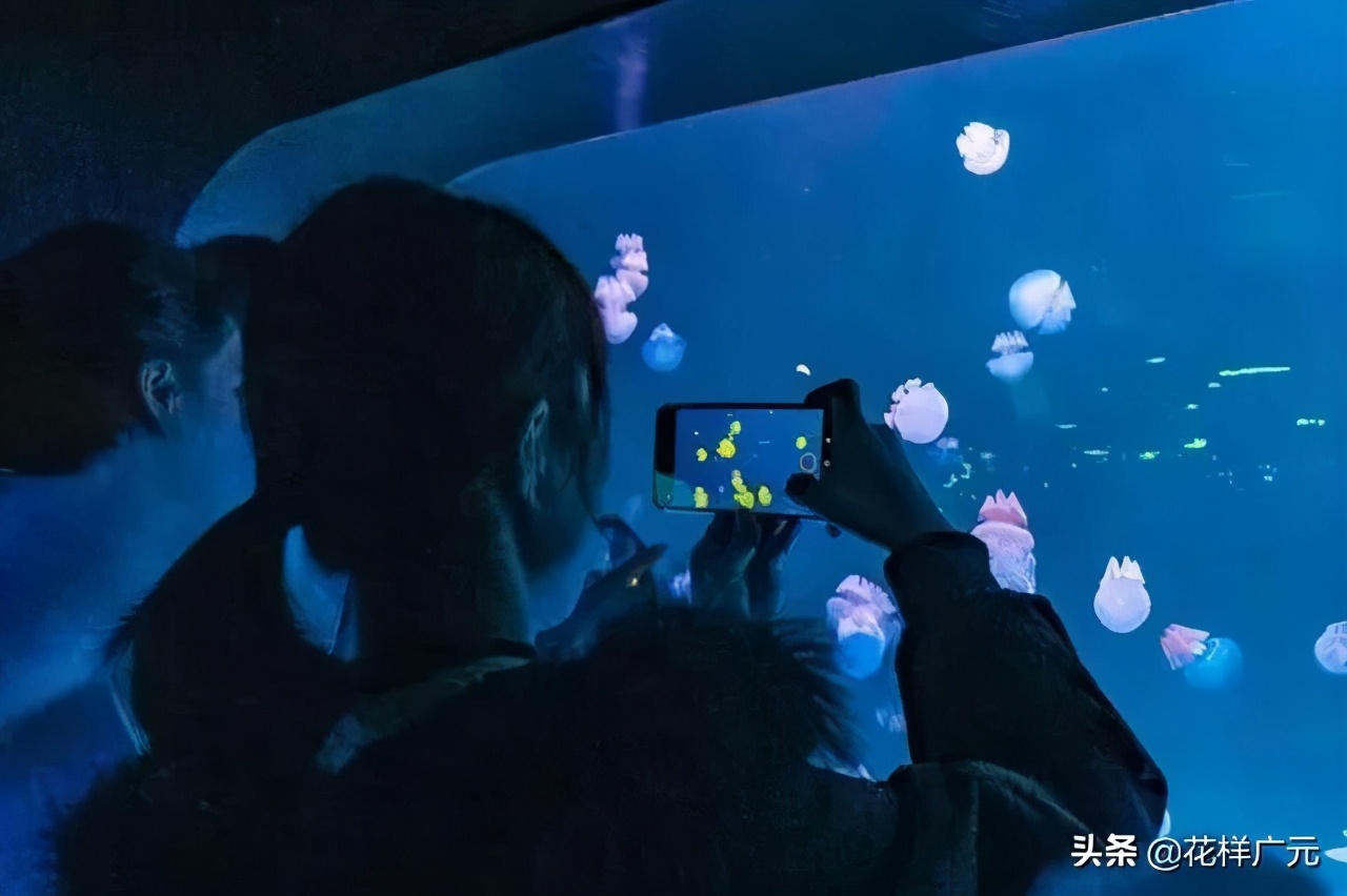 广元卡尔海洋世界,广元市卡尔海洋世界怎么去