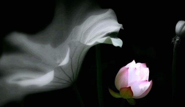 易经说：一个家庭常出变故？十有八九是出了4个“怪人”，要注意