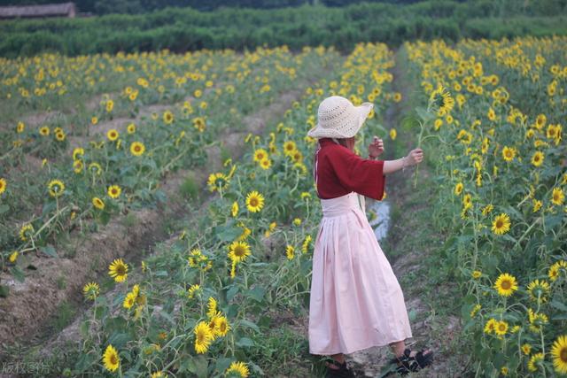 （干货）有人问张晓风怎样学会写作？她的答案意外又有道理！