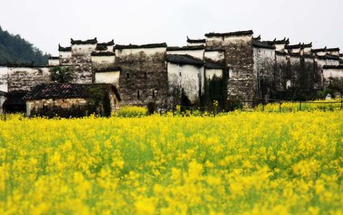 这个春天，全民只能换个方式看世界。