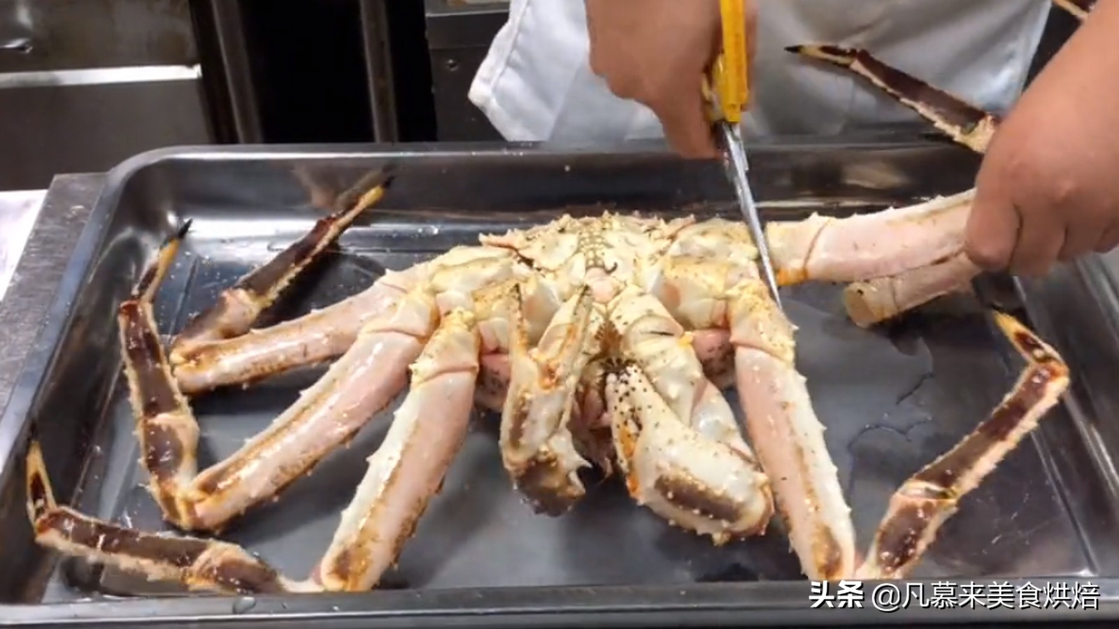 帝王蟹怎么处理？如何选购帝王蟹？哪种好吃？帝王蟹的五种吃法