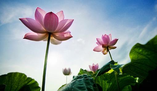 一个人福气越来越多的征兆,每天坚持做好这3件事福气自然来