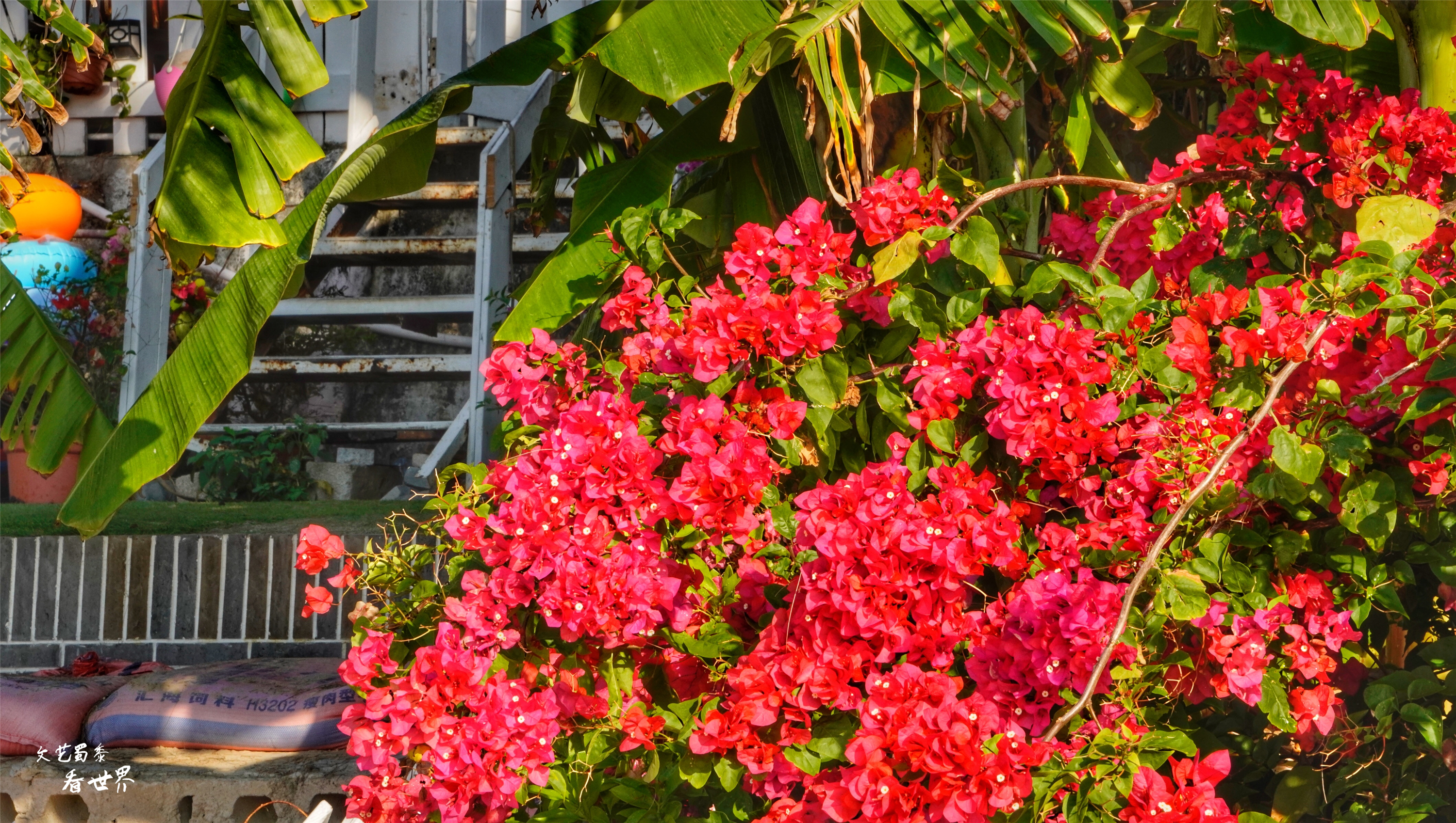 三亚旅游后海渔村,海棠湾后海除了冲浪还能干嘛