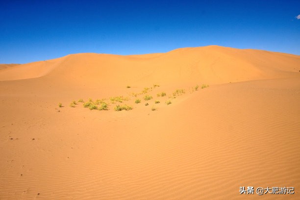 沙坡头一个人玩攻略,沙坡头去了还需要去腾格里吗