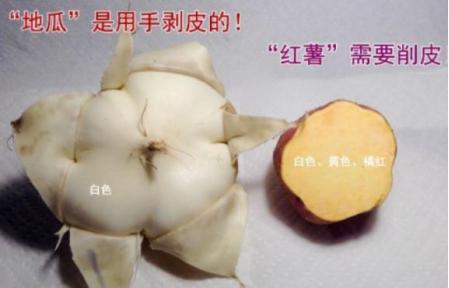 地瓜和红薯有区别吗,地瓜和红薯可以煮吗