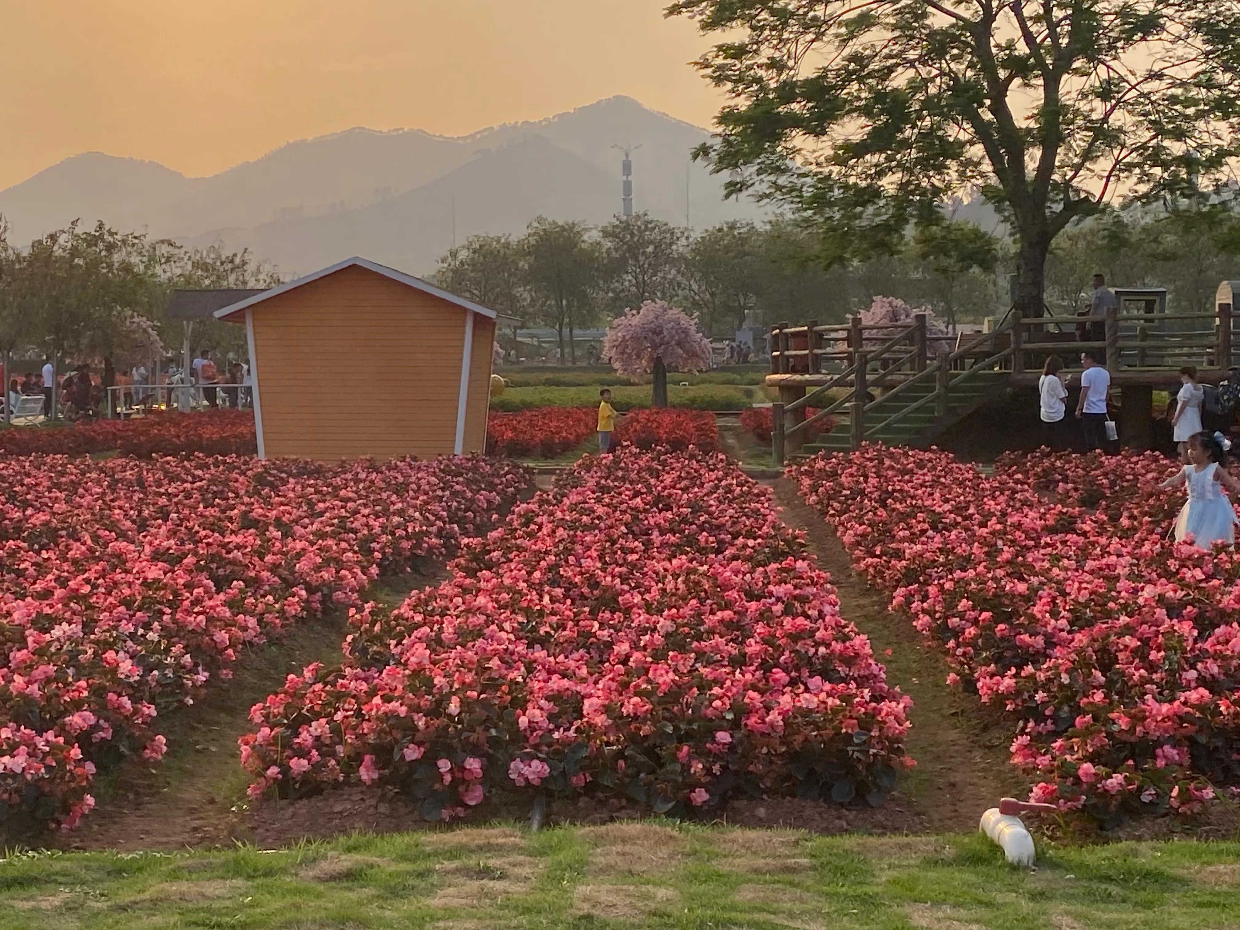 佛山盈香生态园一天玩得完吗,佛山盈香生态园值得去吗