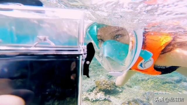 魏晨说认真的去爱一个人,魏晨温柔宠女孩