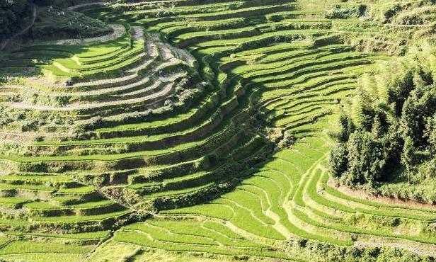 军用作战地图收藏价值,收藏备用军事地形学