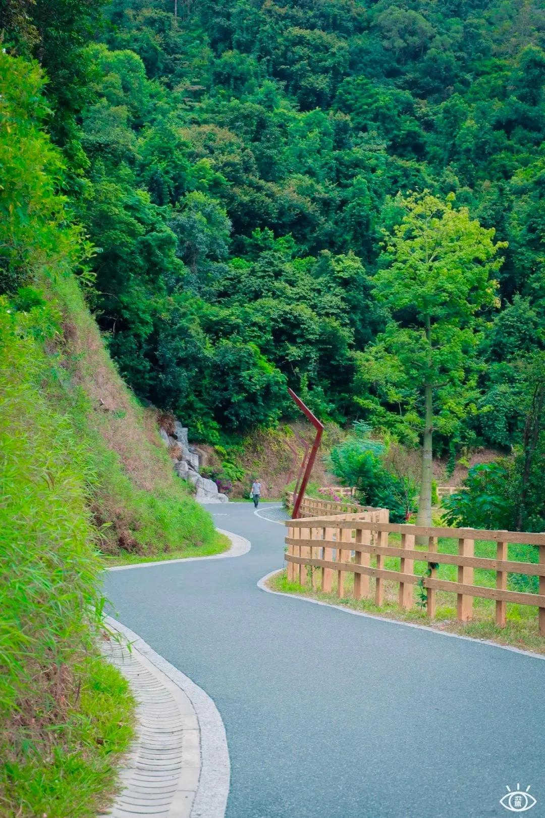 深圳这10条绿道你去过没,深圳十大绿道排行榜