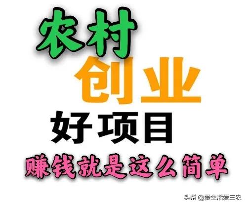 想在农村做什么生意比较好创业,农村创业做什么回本快些
