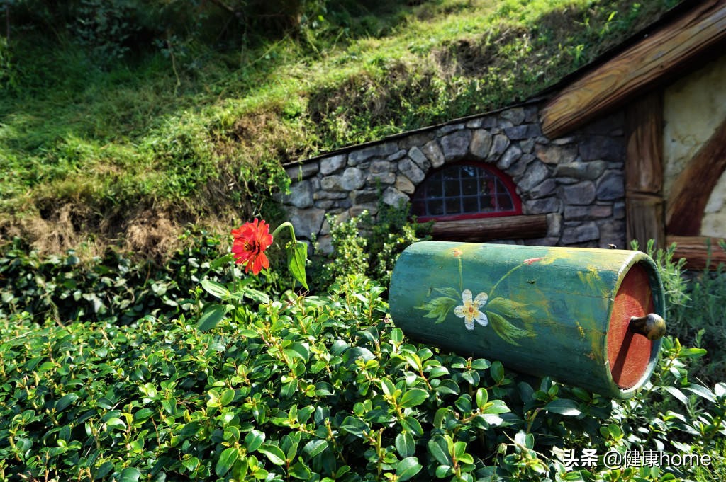 新西兰霍比特人村攻略,新西兰霍比特蓝泉一日游