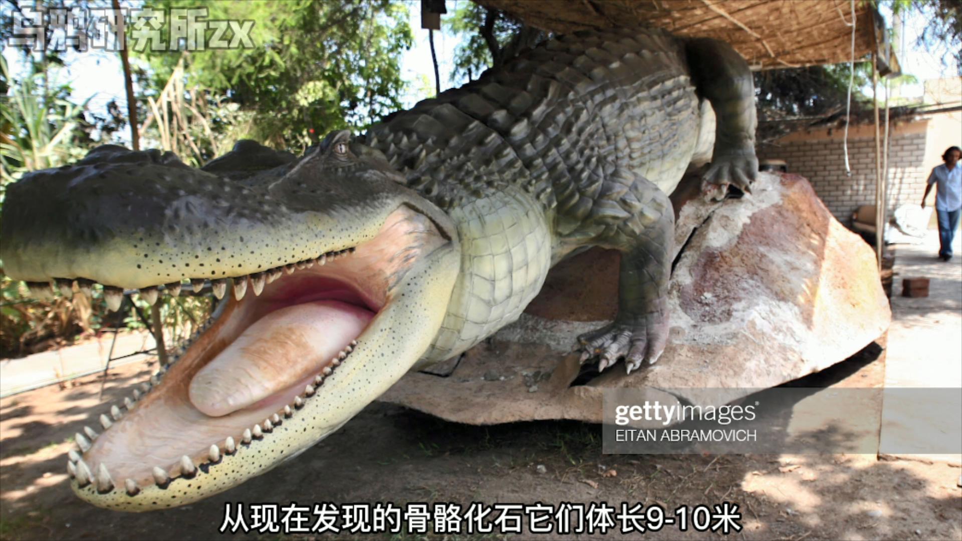 史前三大恐龙,远古三大巨鳄区别