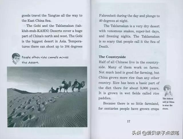 神奇树屋基础和进阶故事一样吗,神奇树屋小百科